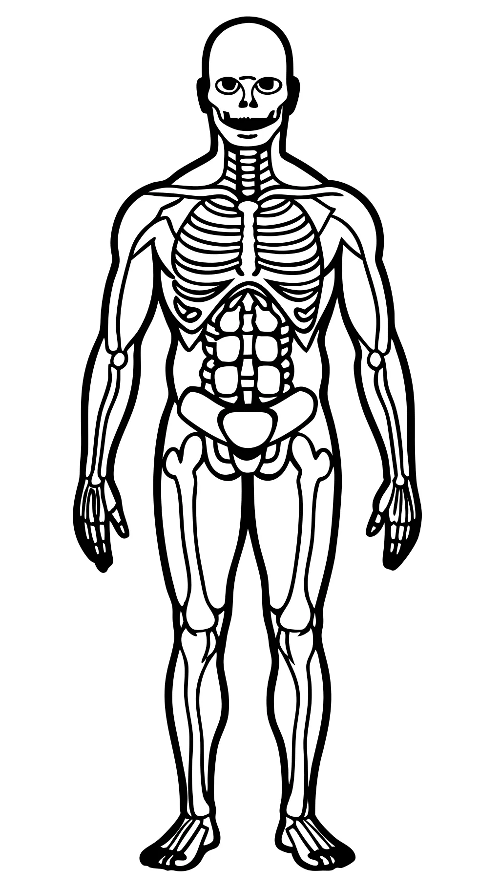 coloriages d’anatomie imprimables